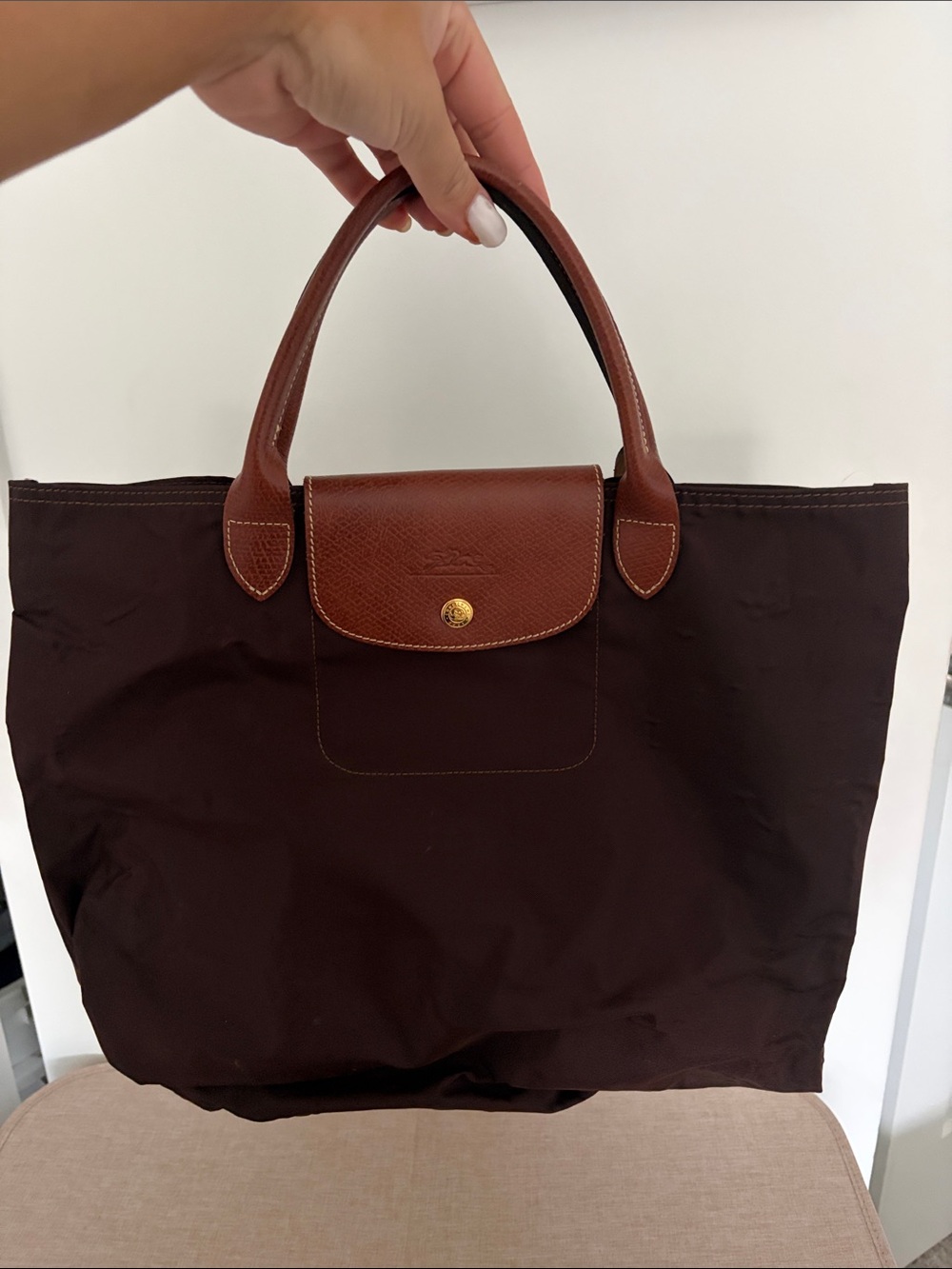 Longchamp Tote in Dark Brown Nylon with Brown Leather Trim